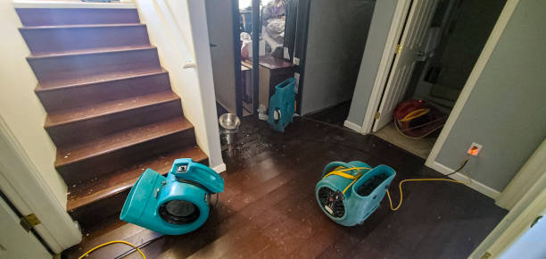 Water damage restoration insurance claims in Kitsap Lake, WA