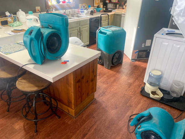 Professional Water damage restoration in Kitsap Lake, WA