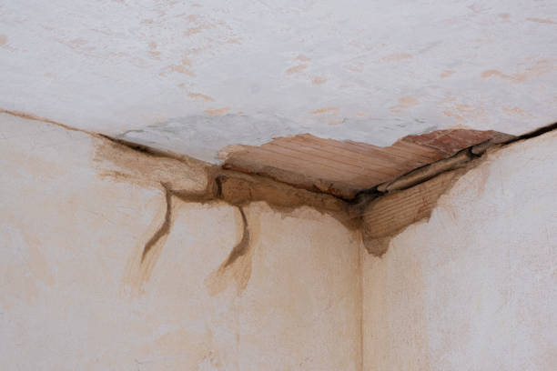 Best Flood damage cleanup  in Kitsap Lake, WA
