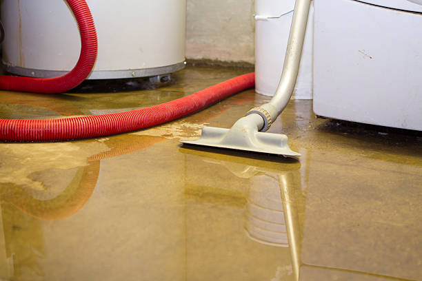 Best Water damage restoration near me  in Kitsap Lake, WA