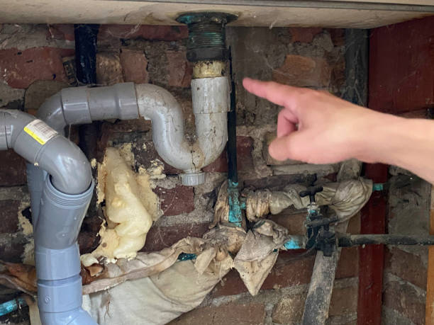 Best Water damage cleanup near me  in Kitsap Lake, WA