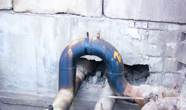 Best Water damage contractors near me  in Kitsap Lake, WA