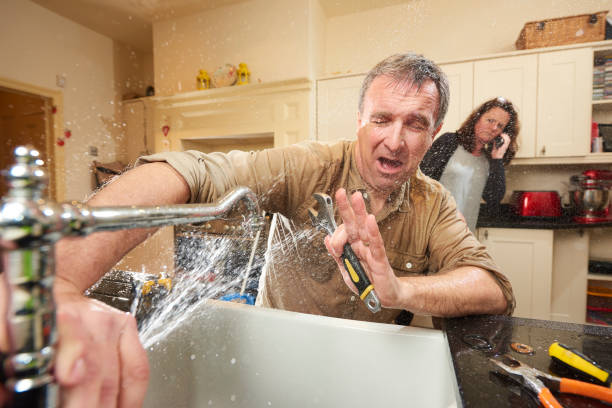 Best Mold removal after water damage  in Kitsap Lake, WA
